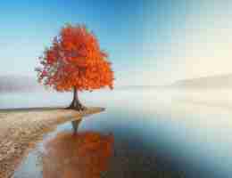 免‌费​开﻿放﻿源​代﻿码﻿